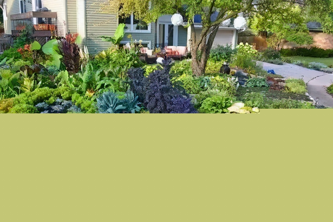 花園就是菜園，這才是種花的最高境界