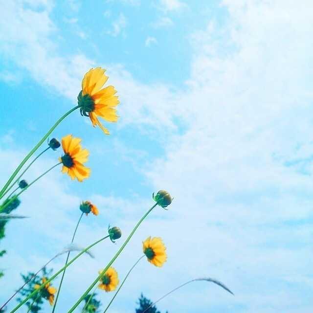 朋友圈經典的心靈雞湯，看完讓人醍醐灌頂
