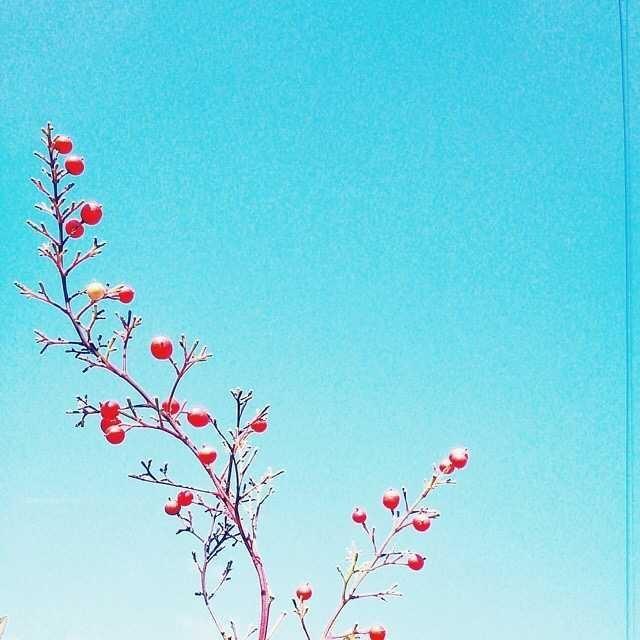 朋友圈經典的心靈雞湯，看完讓人醍醐灌頂