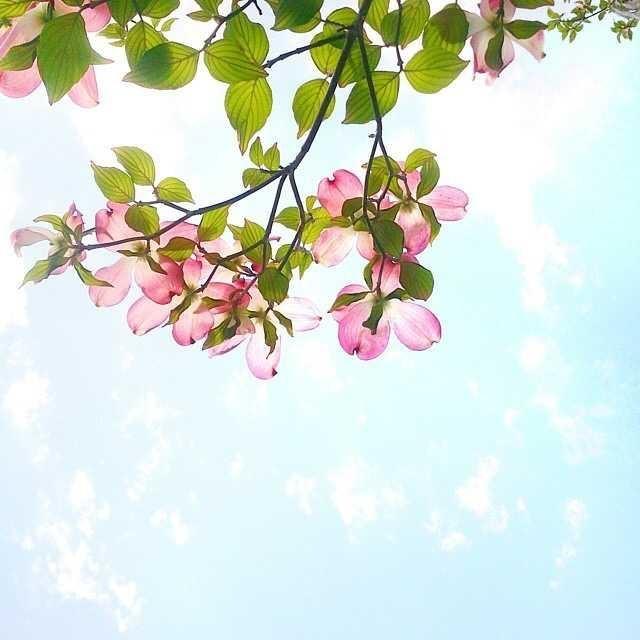 朋友圈經典的心靈雞湯，看完讓人醍醐灌頂