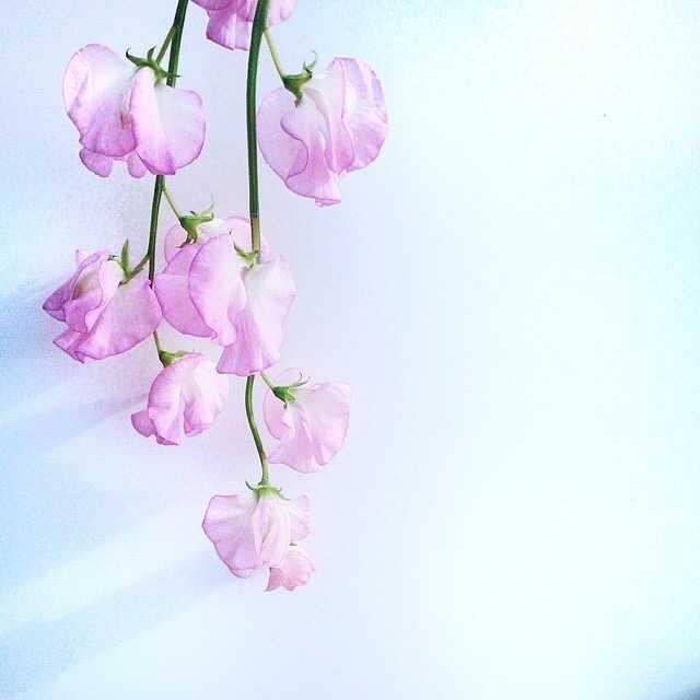 朋友圈經典的心靈雞湯，看完讓人醍醐灌頂