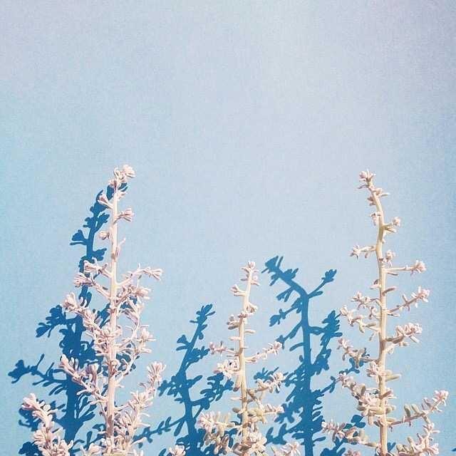朋友圈經典的心靈雞湯，看完讓人醍醐灌頂