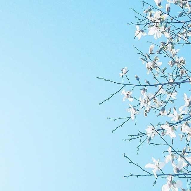 朋友圈經典的心靈雞湯，看完讓人醍醐灌頂