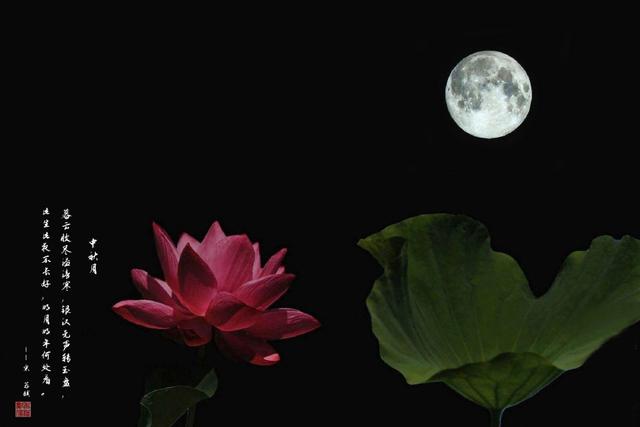 中秋發朋友圈的精美句子,祝您闔家團圓,幸福美滿