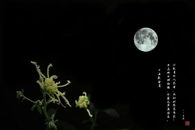 中秋發朋友圈的精美句子,祝您闔家團圓,幸福美滿