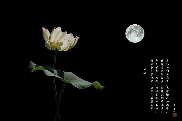 中秋發朋友圈的精美句子,祝您闔家團圓,幸福美滿
