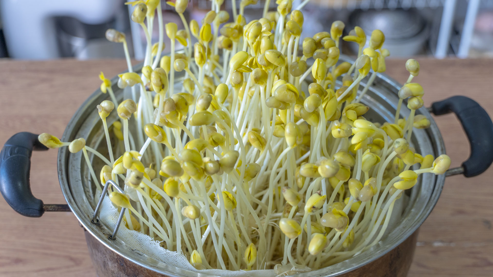 秋分後多吃這7種蔬菜,潤燥補虛,低脂又美味,增強體質身體棒