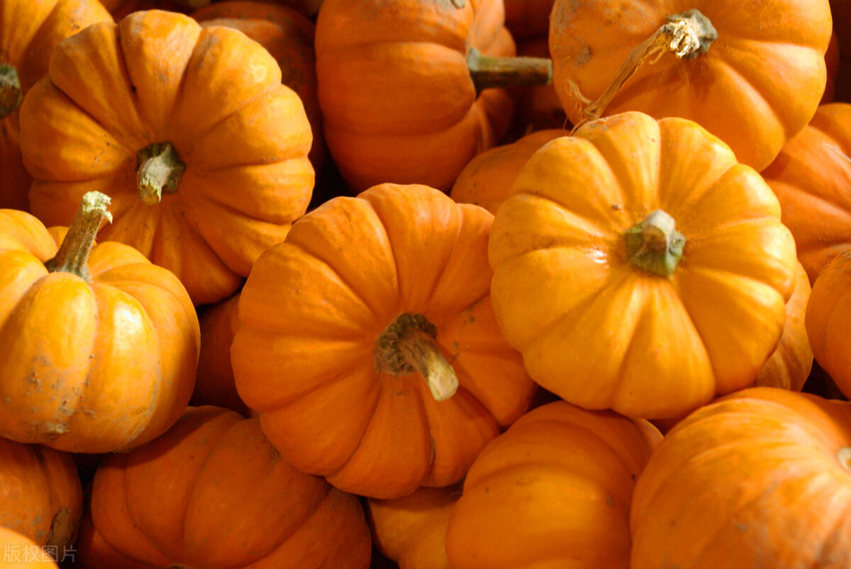 明日秋分，記得常吃“3菜2果”，滋補潤肺防秋燥，順應時節好過秋