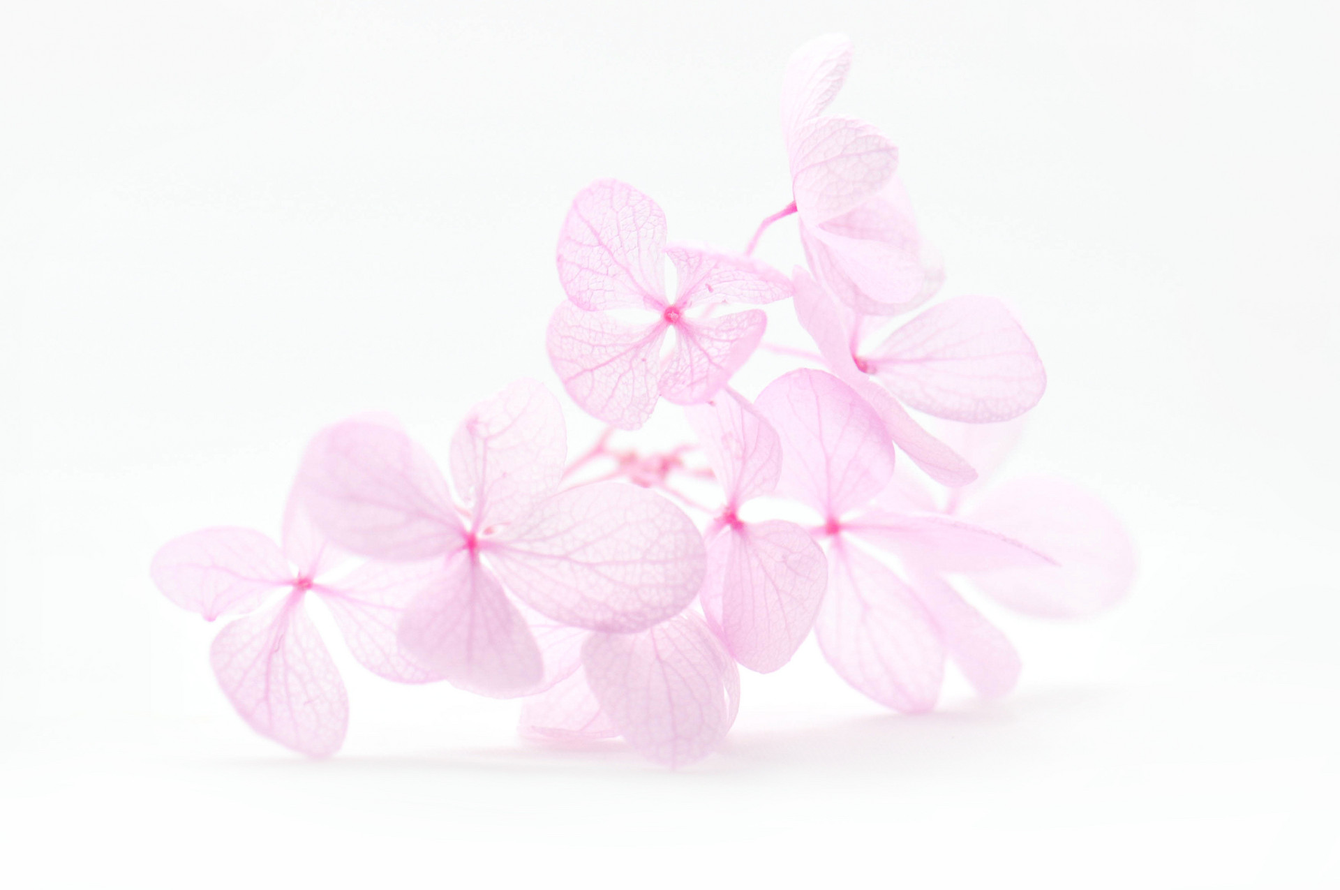 有一種愛情，從相遇就是錯的，注定沒有結局