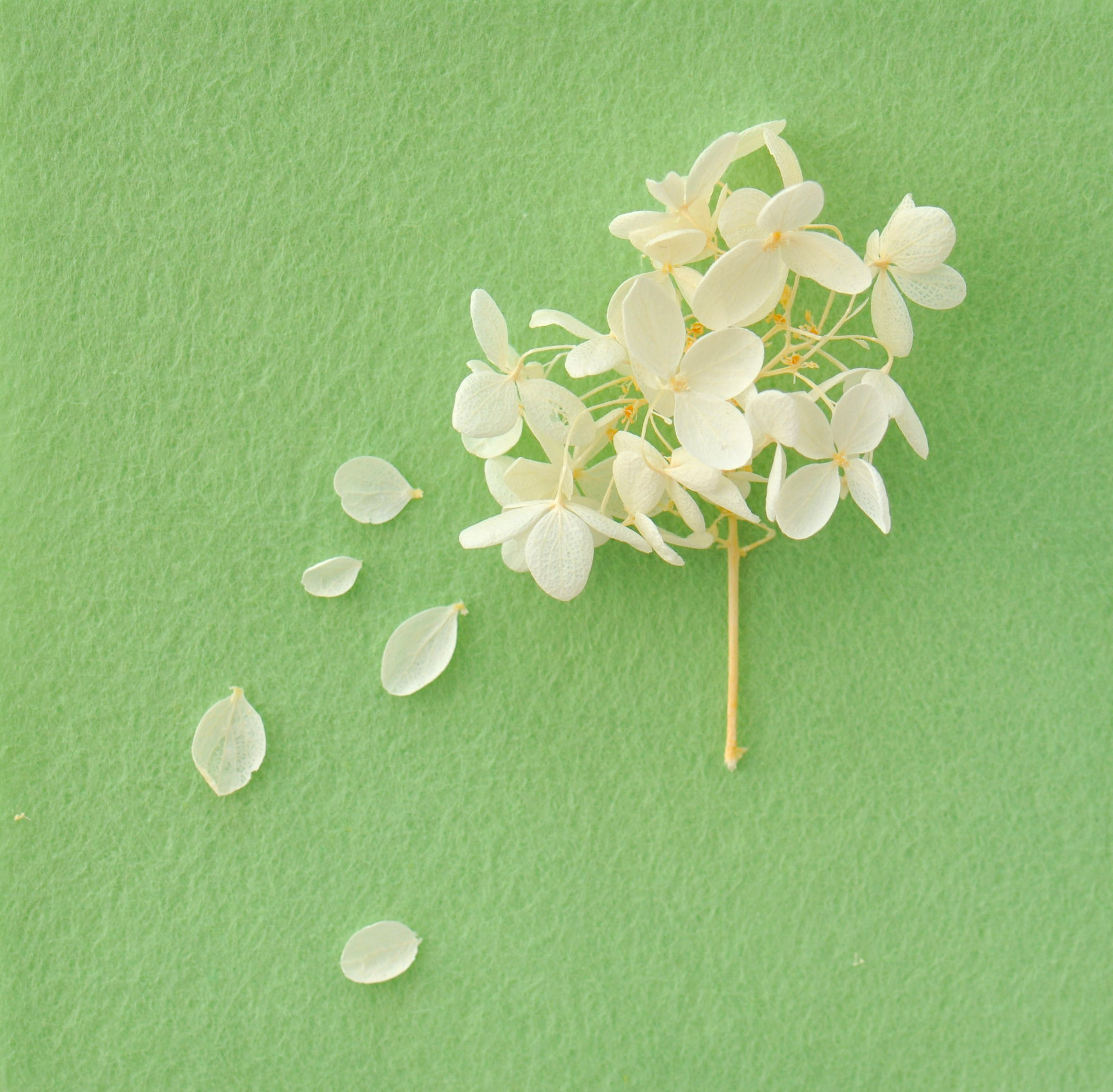 有一種愛情，從相遇就是錯的，注定沒有結局