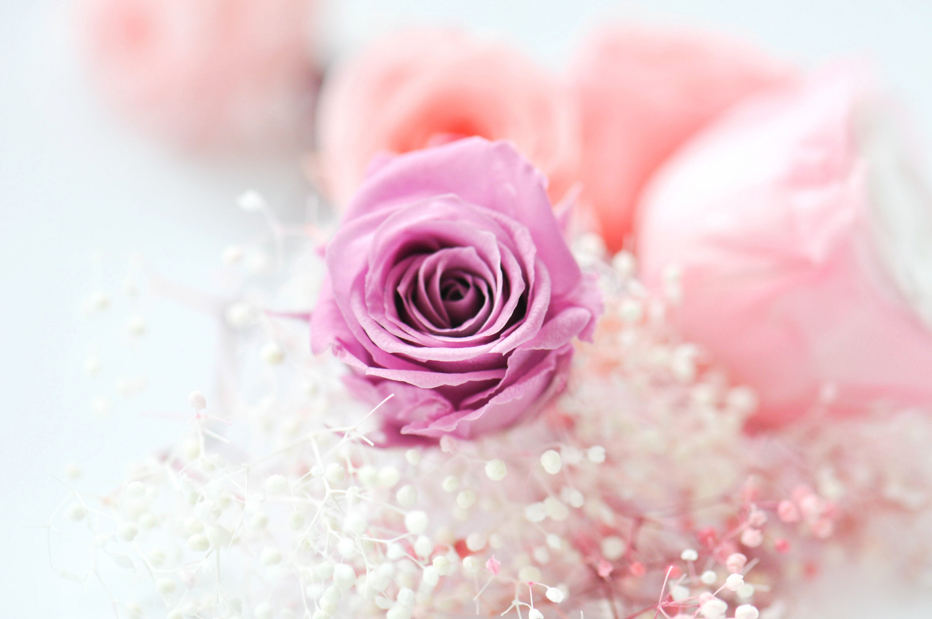 有一種愛情，從相遇就是錯的，注定沒有結局