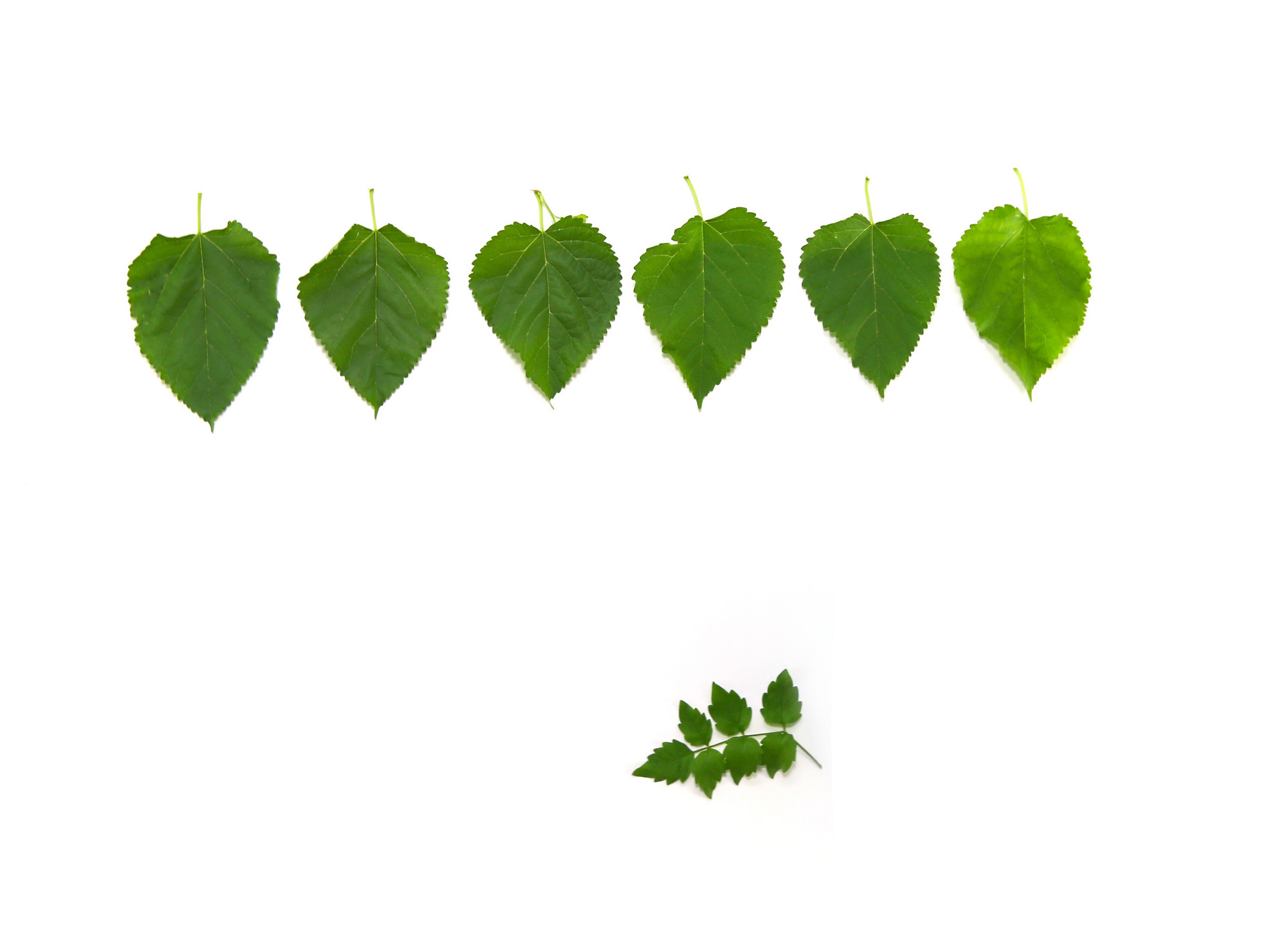 有一種愛情，從相遇就是錯的，注定沒有結局