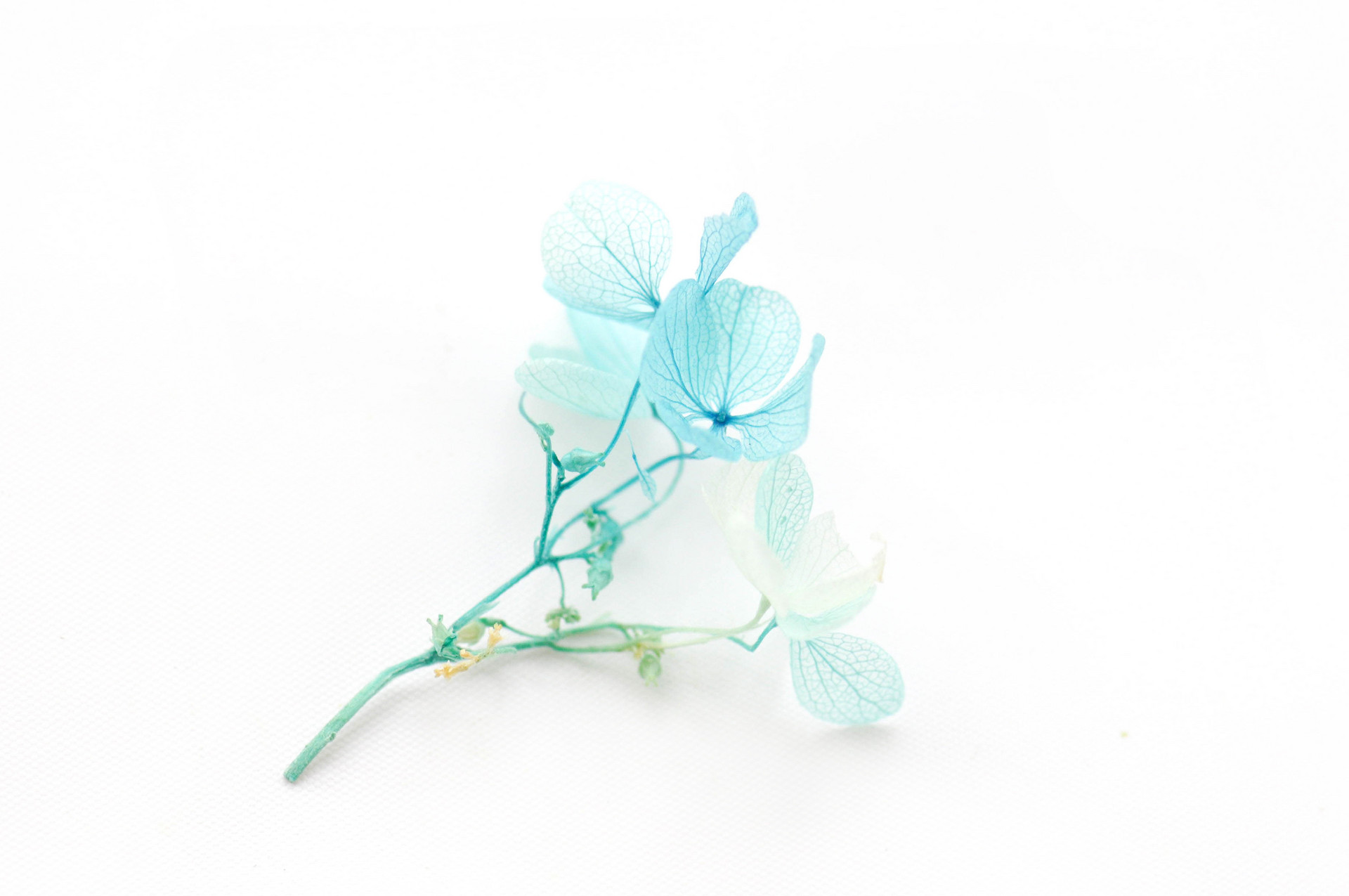 有一種愛情，從相遇就是錯的，注定沒有結局