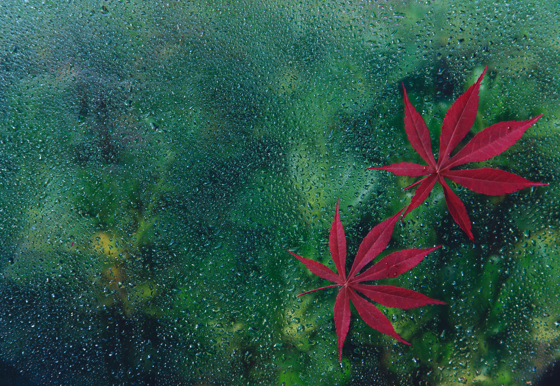 保持沉默,是聰明人的生活智慧
