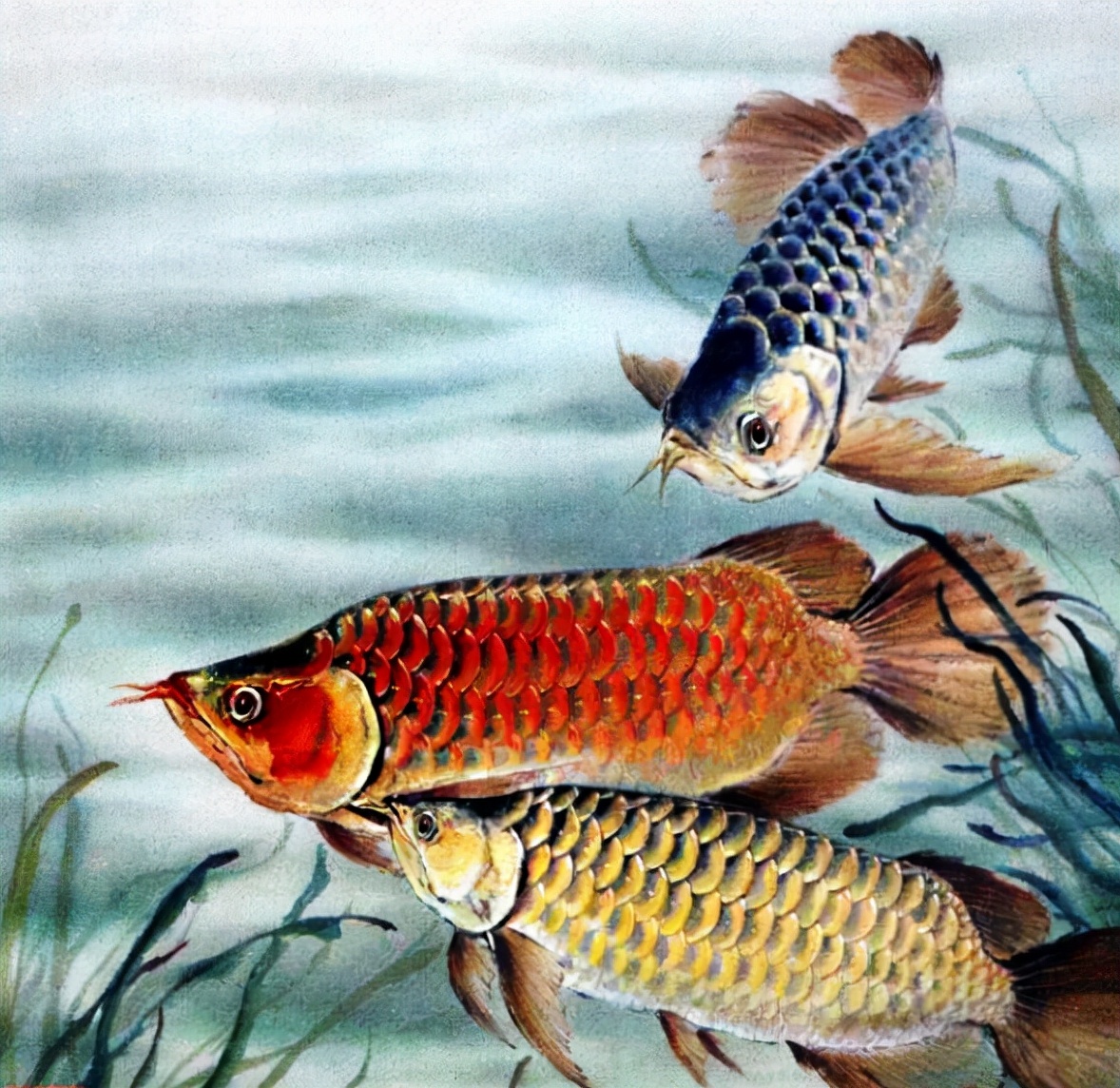 哪些月份出生的人，從不愛貪小便宜，為人特別仗義，背後有貴人