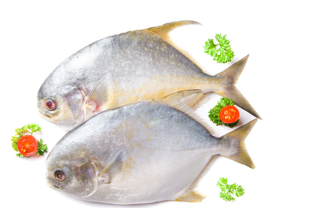 冬季5種魚最肥美，肉質肥厚營養高，常吃健腦記性好，孩子要多吃