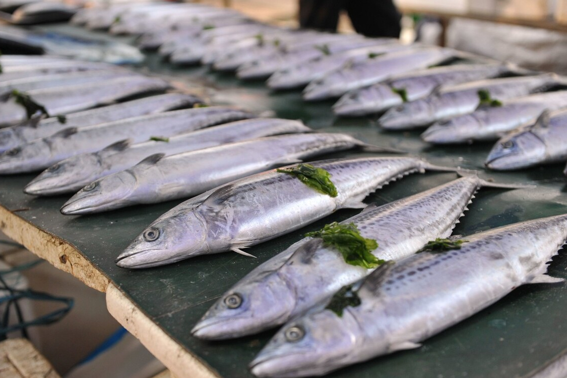 冬季5種魚最肥美，肉質肥厚營養高，常吃健腦記性好，孩子要多吃