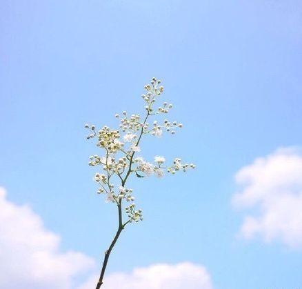 打動人心的早安唯美句子,簡短精緻,句句入心