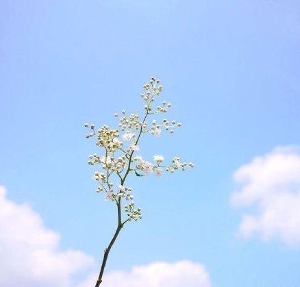 打動人心的早安唯美句子，簡短精緻，句句入心