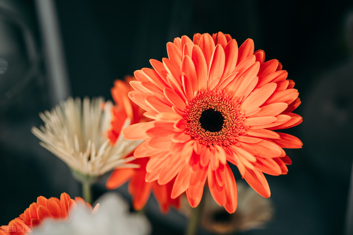 天蠍座的憤怒，通常有哪些宣洩方式？