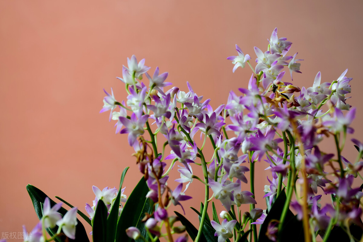 天蠍座的憤怒，通常有哪些宣洩方式？