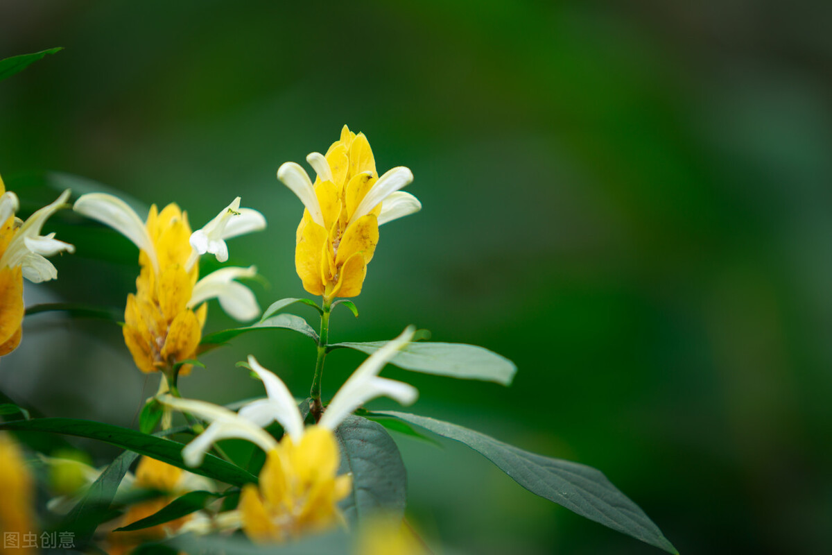 天蠍座的憤怒，通常有哪些宣洩方式？