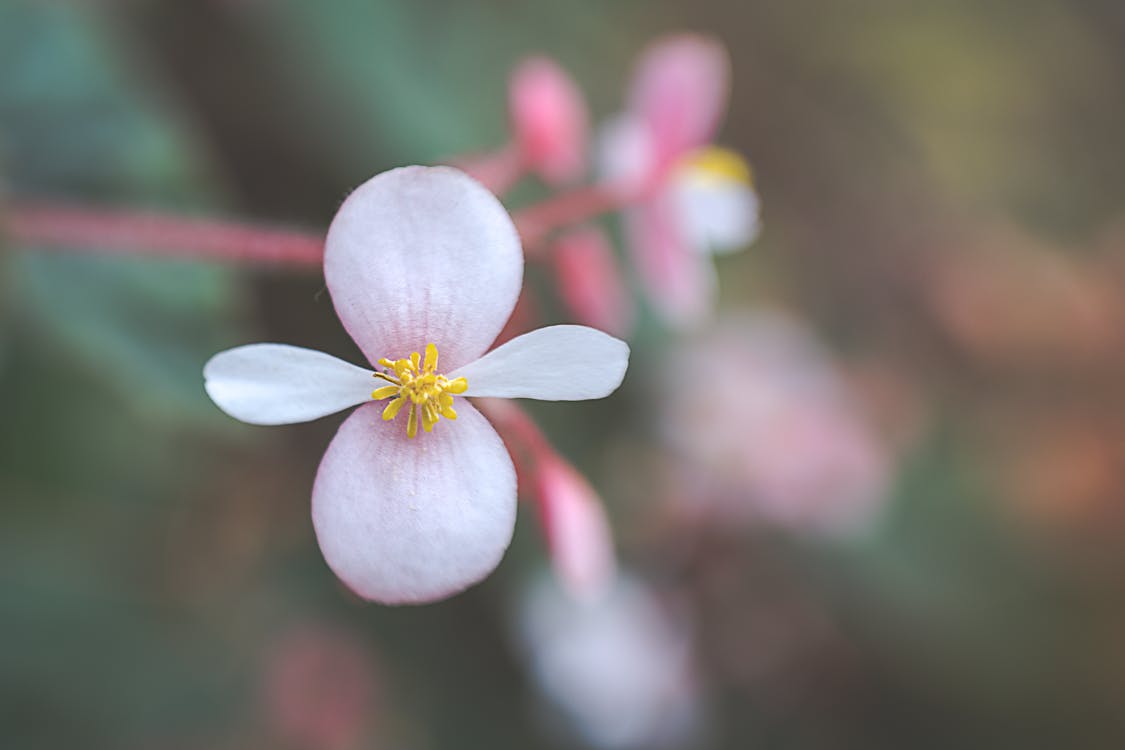 與人相處，凡事適可而止