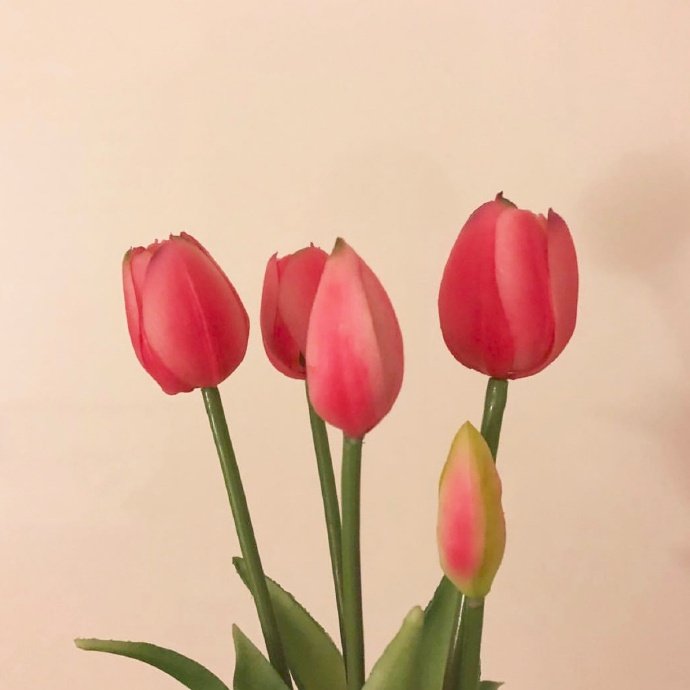適合發朋友圈的平安夜祝福語,溫暖走心,節日快樂