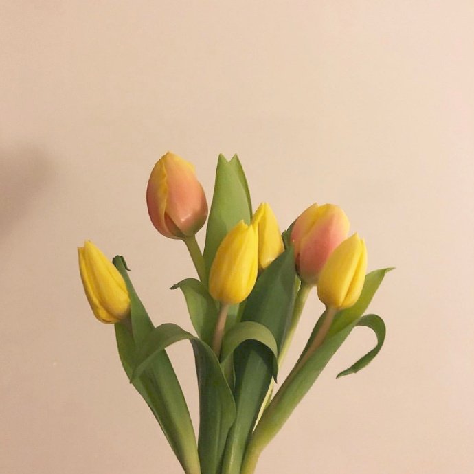 適合發朋友圈的平安夜祝福語,溫暖走心,節日快樂