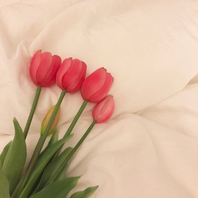 適合發朋友圈的平安夜祝福語,溫暖走心,節日快樂