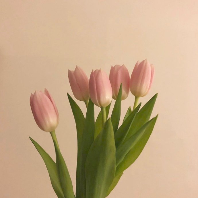 適合發朋友圈的平安夜祝福語,溫暖走心,節日快樂