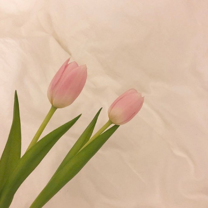 適合發朋友圈的平安夜祝福語,溫暖走心,節日快樂