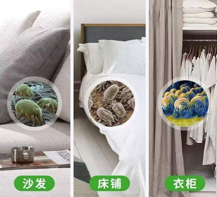 床墊長久不清潔，有蟎蟲和細菌！ 家政阿姨教你方法，除螨又殺菌