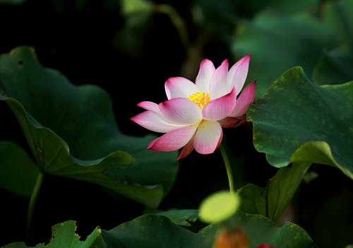 當一個人,慢慢變得喜歡獨處