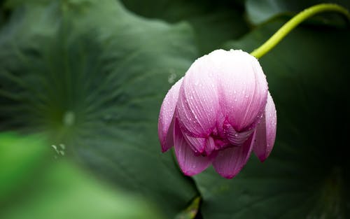 當一個人,慢慢變得喜歡獨處