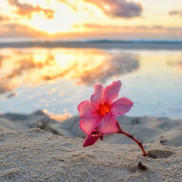 微信充滿人生智慧的哲理金句