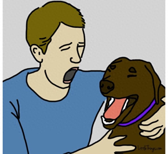 狗狗不會說話，卻用這9種方式說愛你！