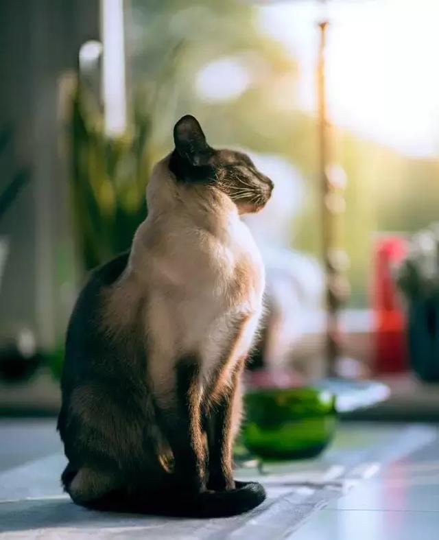 我喜歡你，是我獨家的記憶