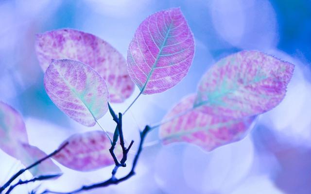 平淡生活，亦不失為一場華麗冒險