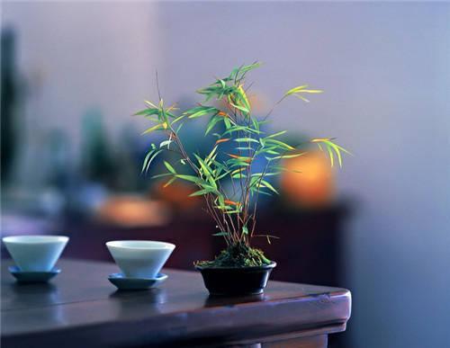 你要嫁的是懂得珍惜你的愛人，而不是屢教不改的“兒子”