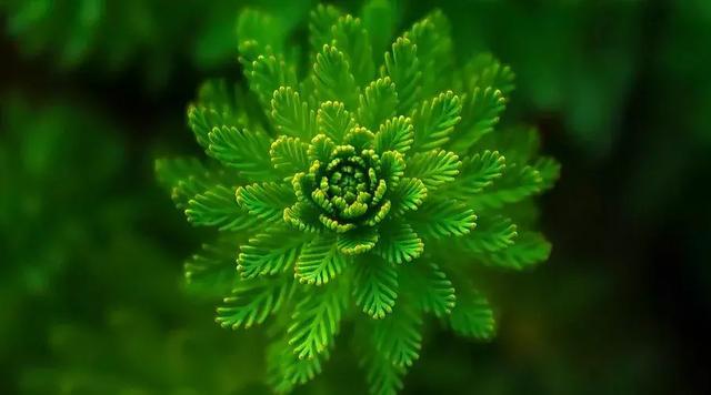 與人相處，這是最好的做法