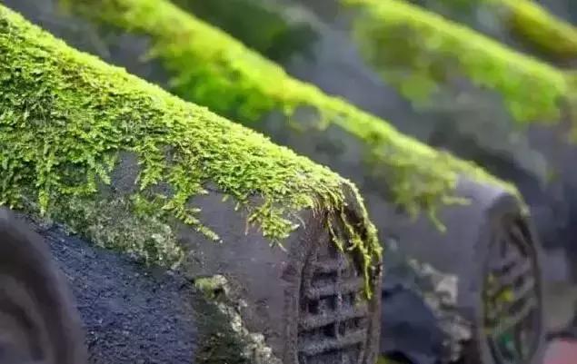 心態決定人生！