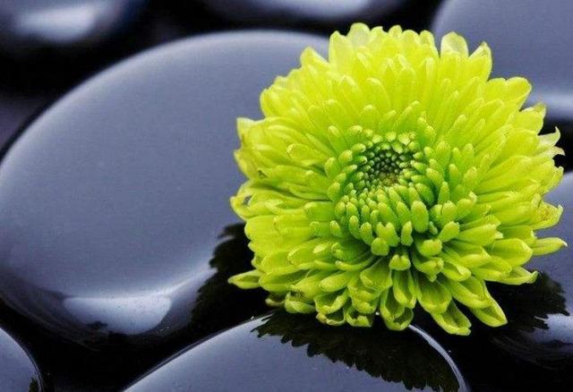 學會獨處，其實是一種修養
