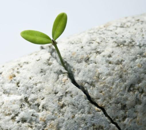 越有故事的人，越是沉靜安詳