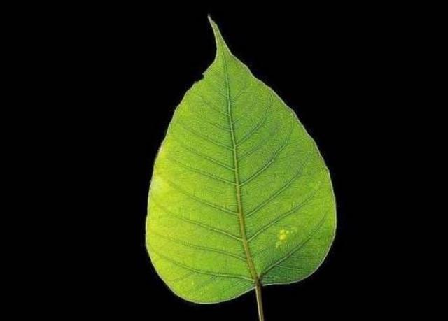做人太強硬，等著去碰壁