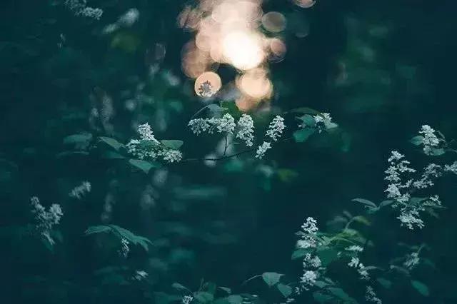 想要遇見更好的別人，首先要做最好的自己！