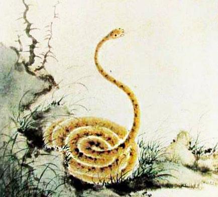 誰家有這4大屬相的人，包括他在內，3代人中必有千萬富豪！