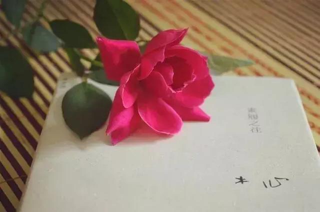 我們的一生，適合自己就是最好！
