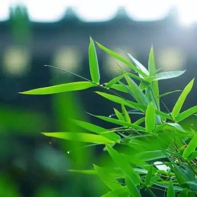 留一份安靜給自己