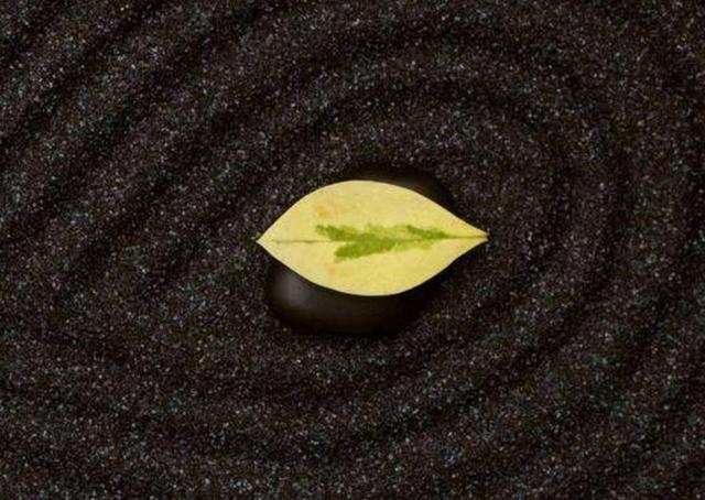 真正的聰明人，都有這四個特徵